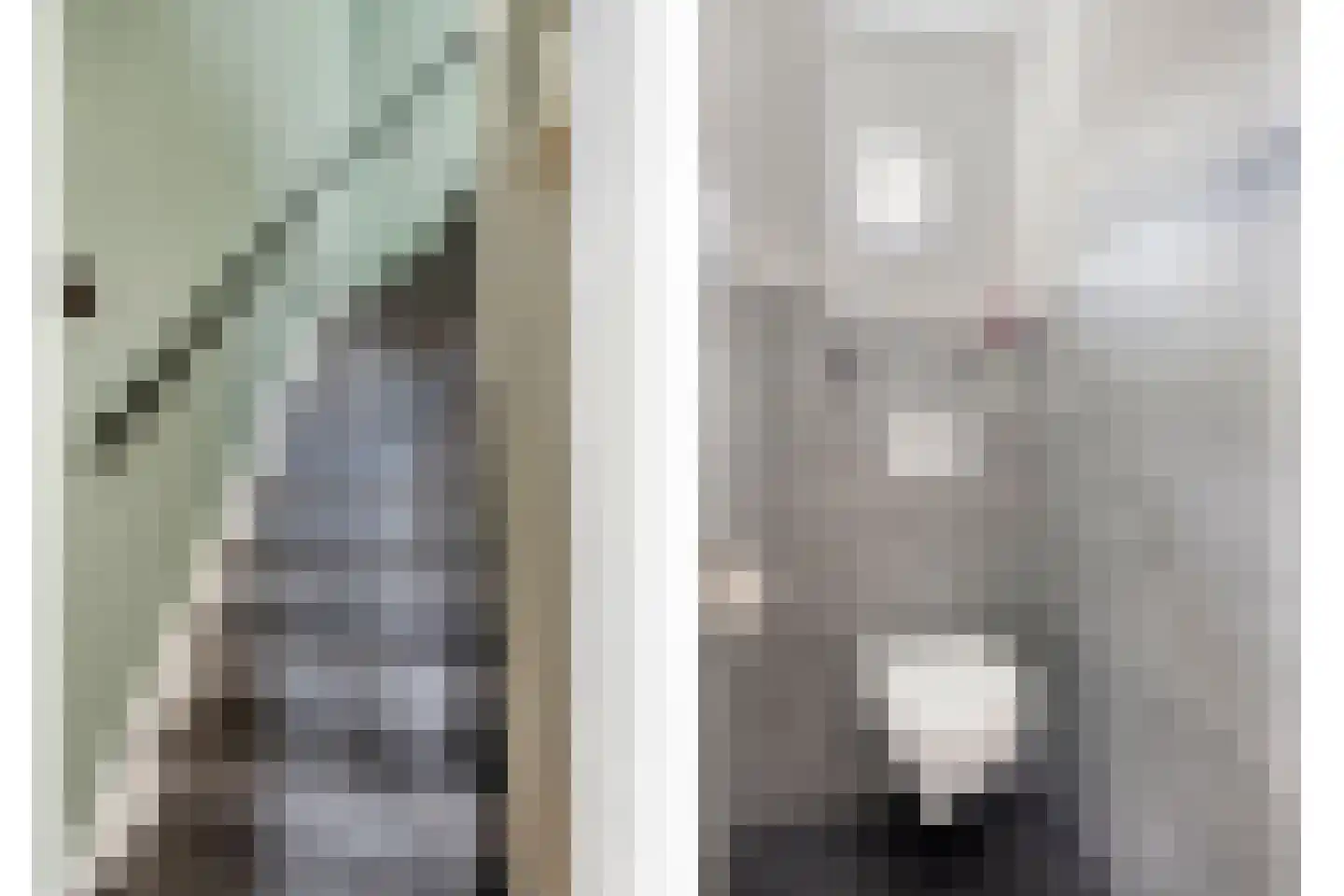 Krommebeemd 61 Oosterhout thumbnail 6