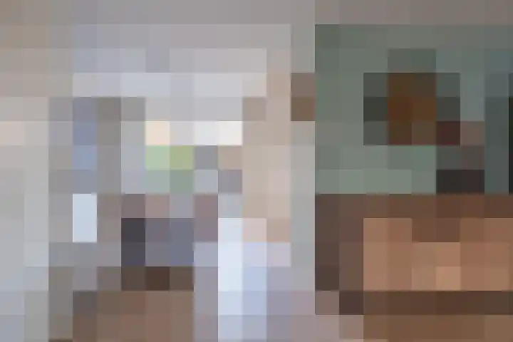 Krommebeemd 8 Oosterhout thumbnail 14
