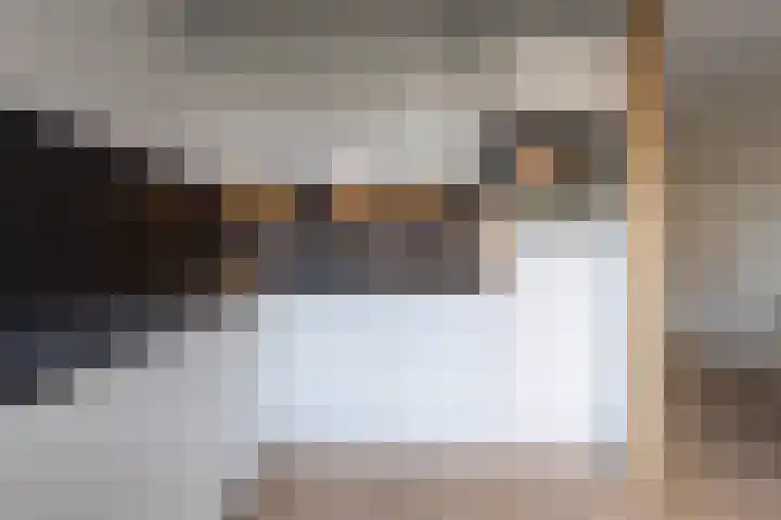 Krommebeemd 8 Oosterhout thumbnail 22