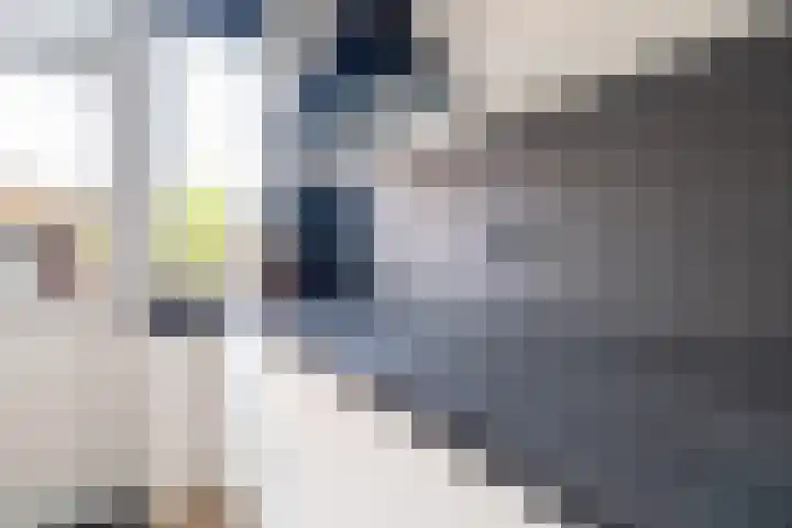 Krommebeemd 8 Oosterhout thumbnail 25