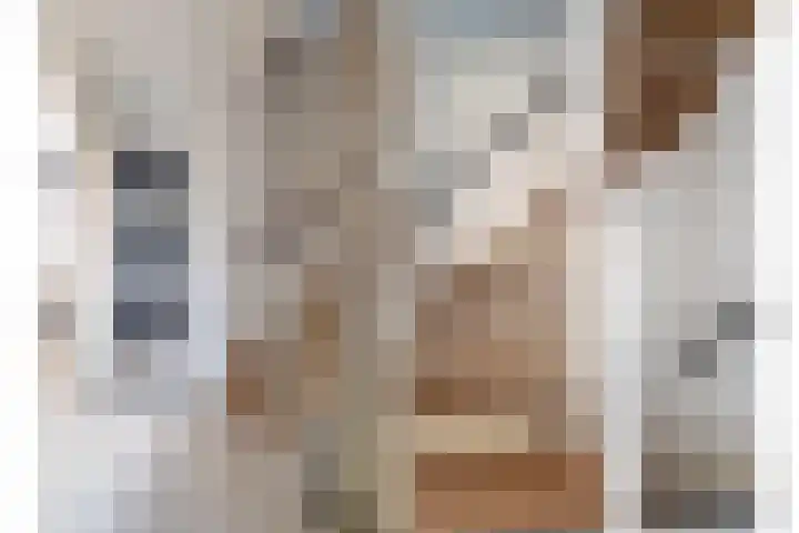Krommebeemd 8 Oosterhout thumbnail 29