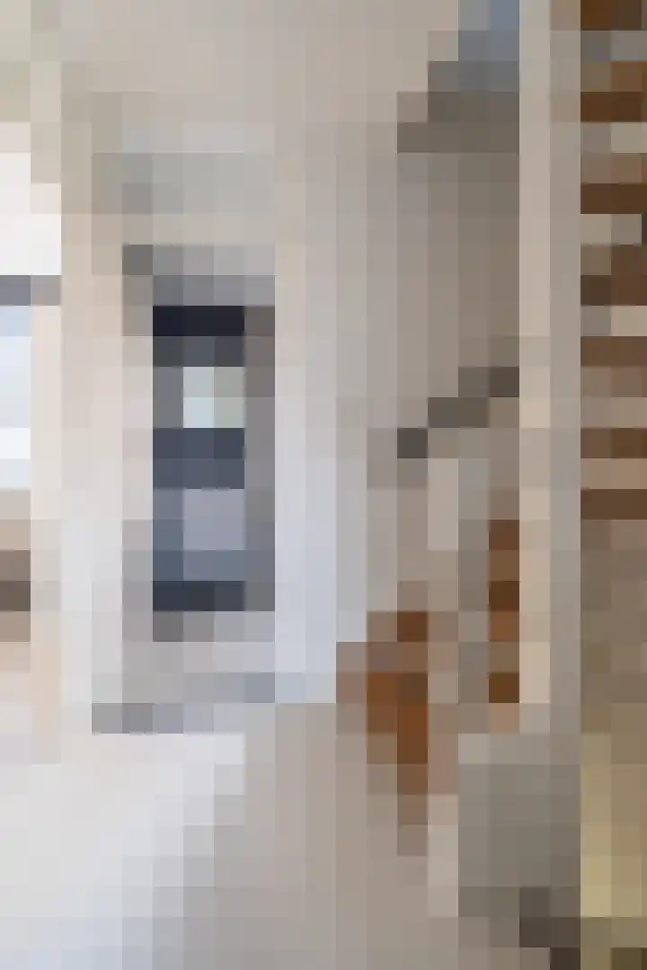 Krommebeemd 8 Oosterhout thumbnail 30