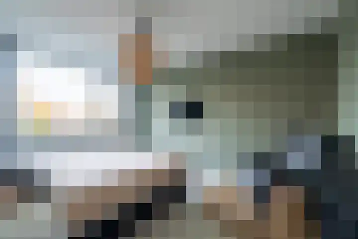 Krommebeemd 8 Oosterhout thumbnail 35