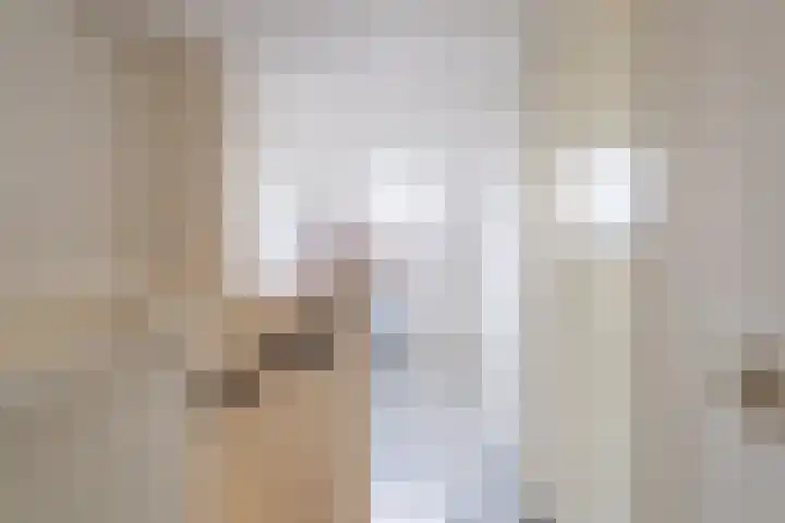 Krommebeemd 8 Oosterhout thumbnail 47