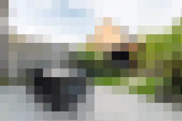 Krommebeemd 8 Oosterhout thumbnail 53