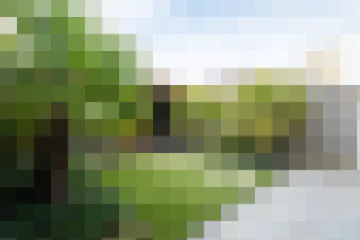 Krommebeemd 8 Oosterhout thumbnail 55