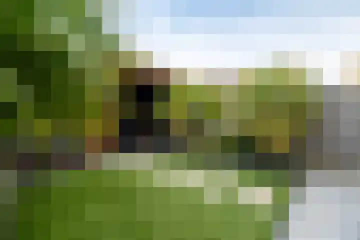 Krommebeemd 8 Oosterhout thumbnail 56