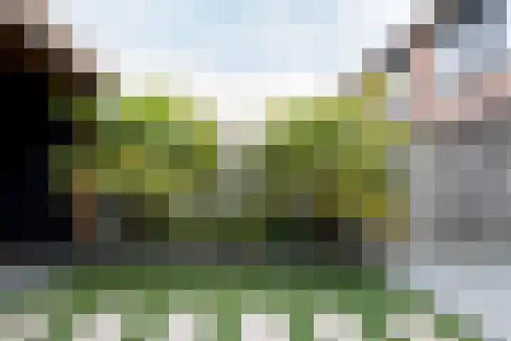 Krommebeemd 8 Oosterhout thumbnail 57