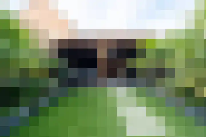 Krommebeemd 8 Oosterhout thumbnail 59