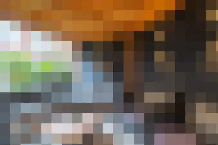 Krommebeemd 8 Oosterhout thumbnail 62