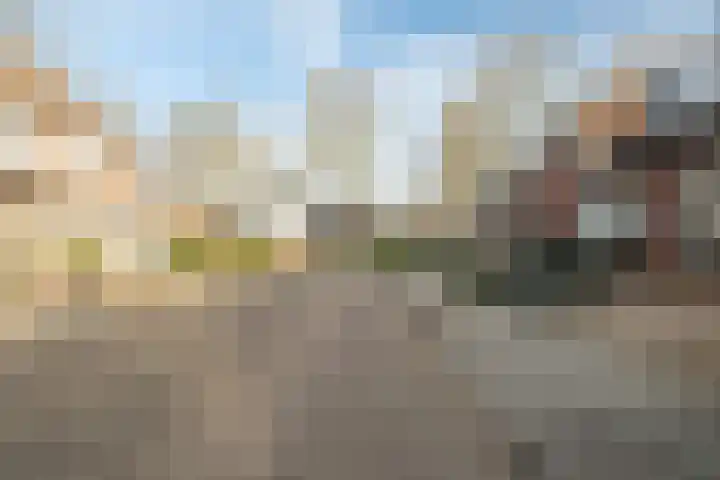 Krommebeemd 8 Oosterhout thumbnail 64