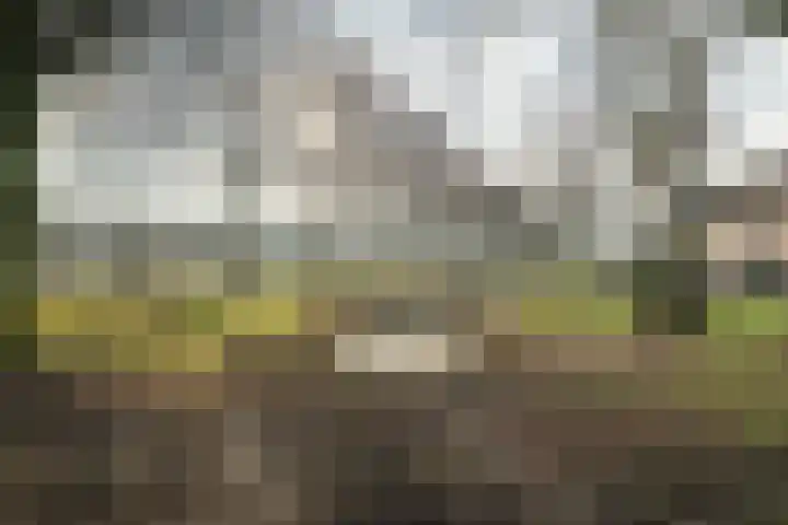 Krommebeemd 8 Oosterhout thumbnail 65