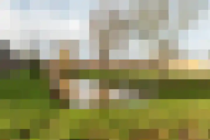 Krommebeemd 8 Oosterhout thumbnail 66