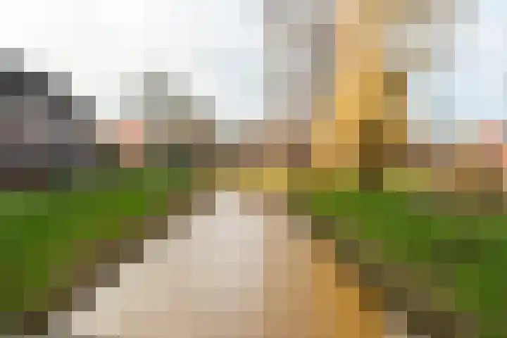 Krommebeemd 8 Oosterhout thumbnail 68
