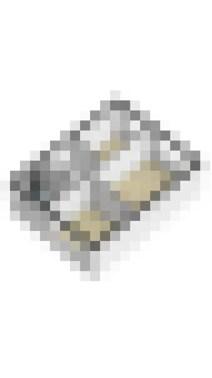 Krommebeemd 8 Oosterhout thumbnail 76