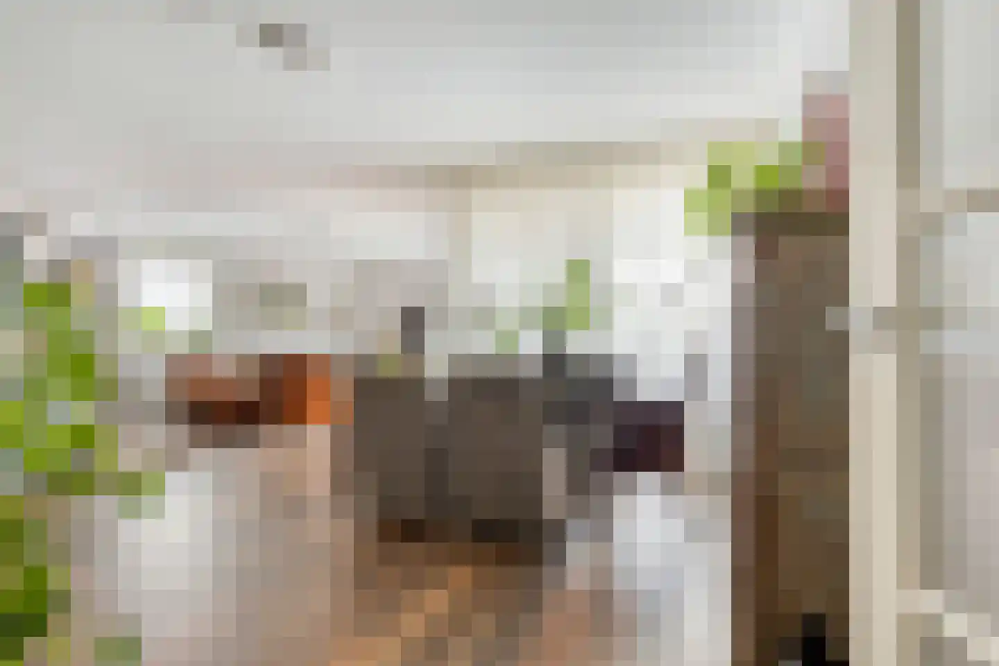 Krommedijk 1 c Zuidland thumbnail 11