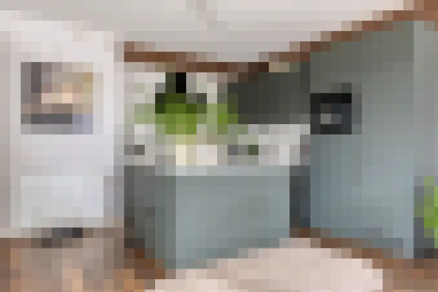 Krommedijk 1 c Zuidland thumbnail 18