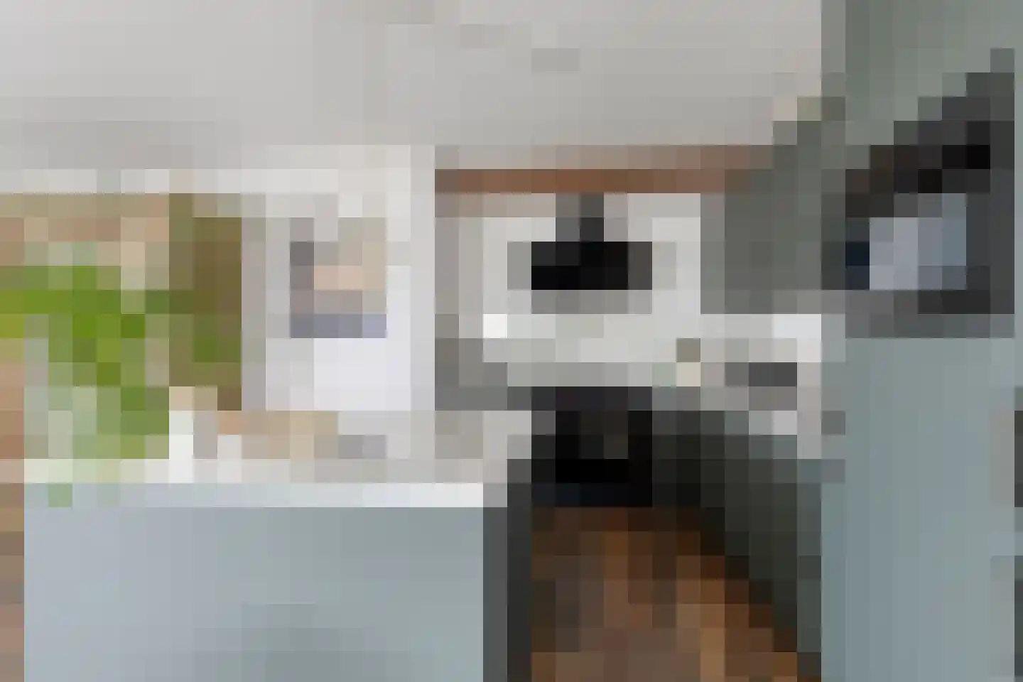 Krommedijk 1 c Zuidland thumbnail 20