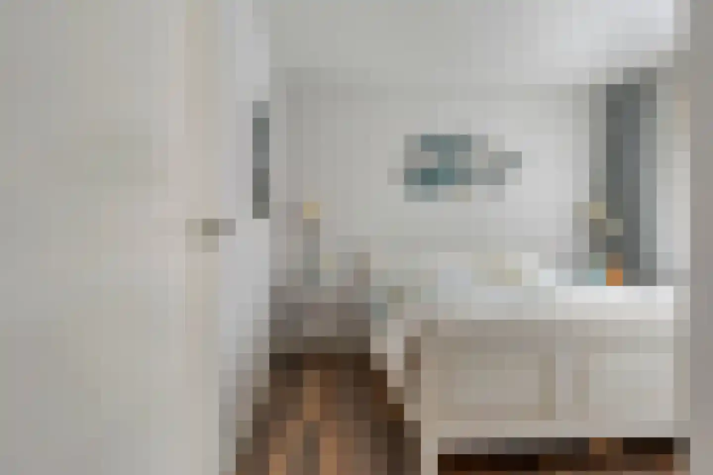Krommedijk 1 c Zuidland thumbnail 23
