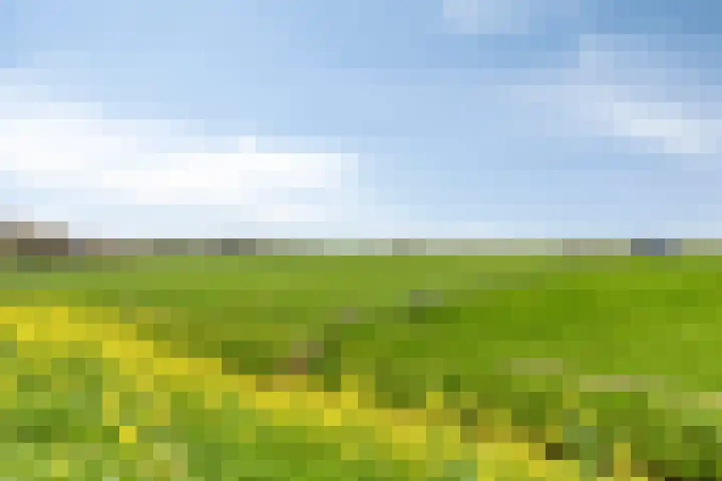 Krommedijk 1 c Zuidland thumbnail 36