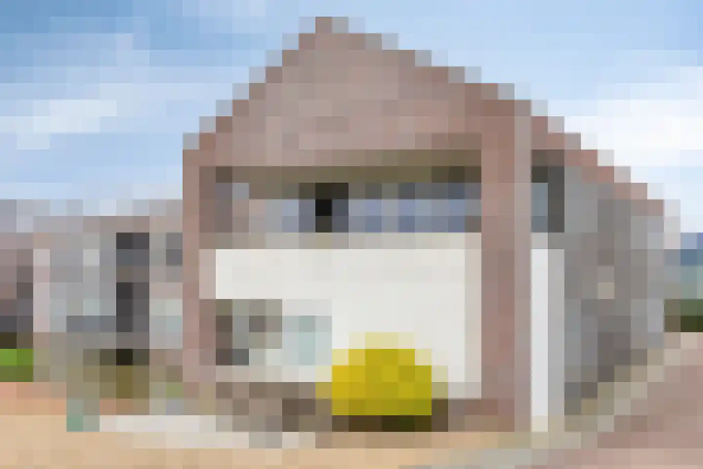 Krommedijk 1 c Zuidland thumbnail 4