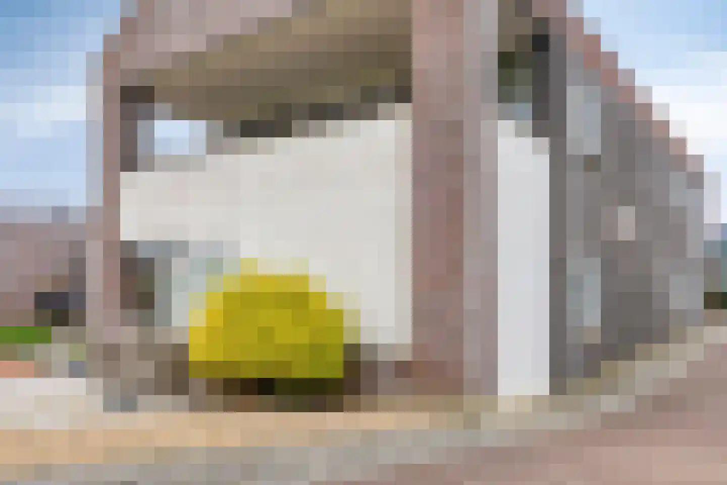 Krommedijk 1 c Zuidland thumbnail 40