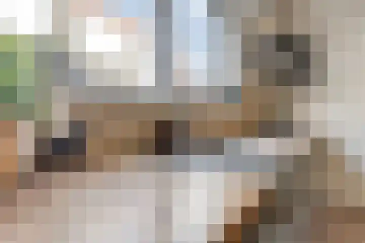 Krommedijk 1 n Zuidland thumbnail 10