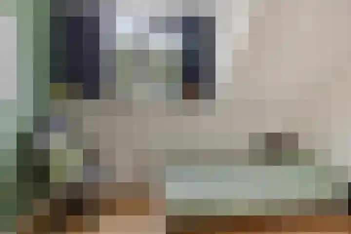 Krommedijk 1 n Zuidland thumbnail 12