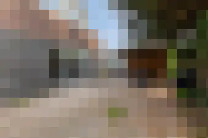 Krommedijk 1 n Zuidland thumbnail 14