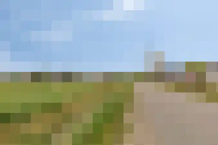 Krommedijk 1 n Zuidland thumbnail 26