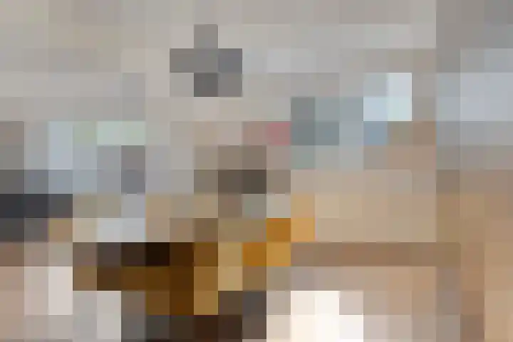 Krommedijk 1 n Zuidland thumbnail 7