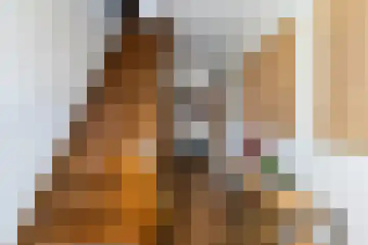 Krommedijk 101 Dordrecht thumbnail 26