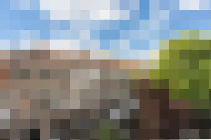 Krommedijk 101 Dordrecht thumbnail 40