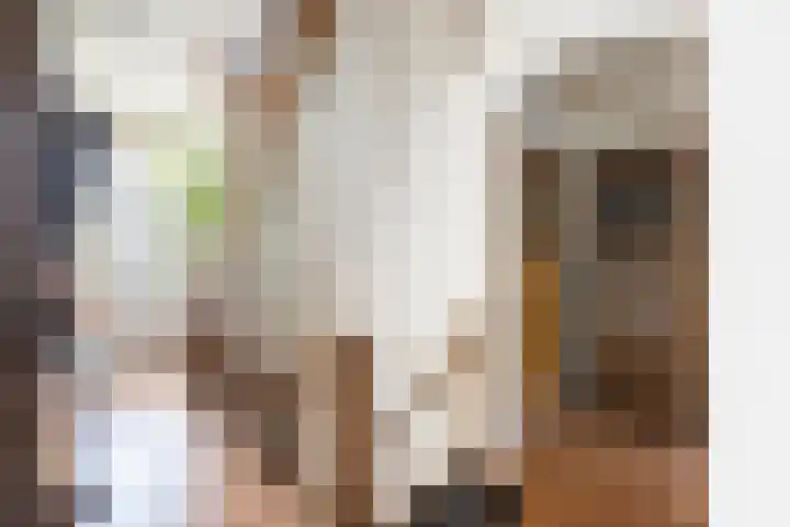 Krommedijk 101 Dordrecht thumbnail 6