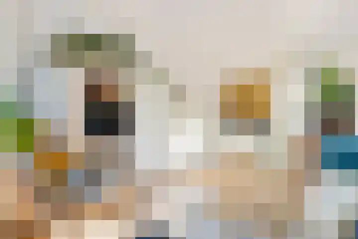 Krommedijk 151 Dordrecht thumbnail 18
