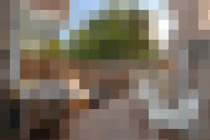 Krommedijk 151 Dordrecht thumbnail 32