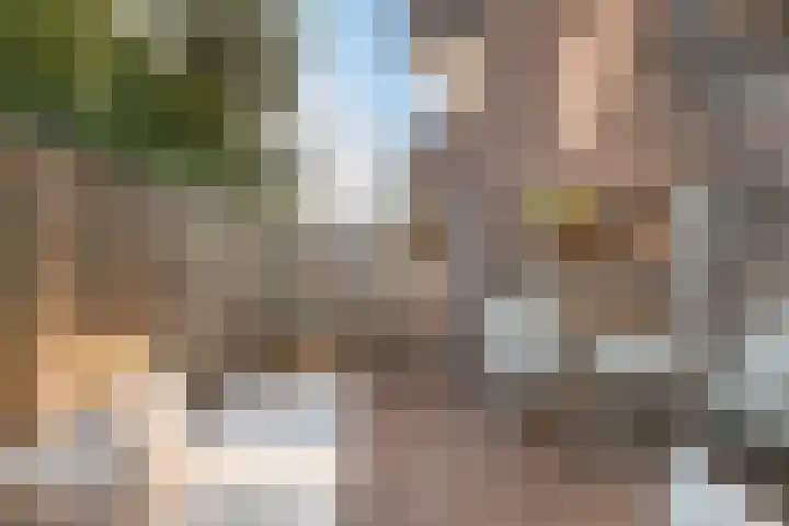 Krommedijk 151 Dordrecht thumbnail 34