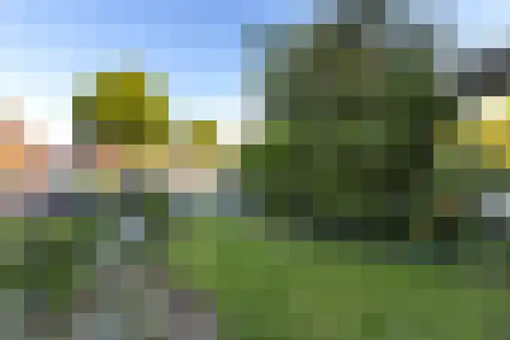 Krommedijk 151 Dordrecht thumbnail 38