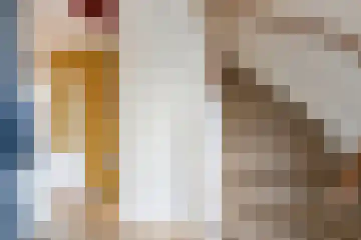 Krommedijk 151 Dordrecht thumbnail 7