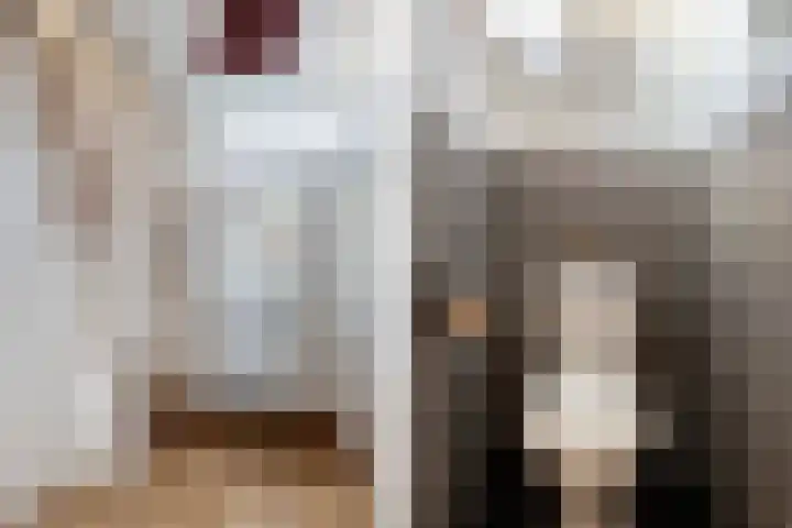 Krommedijk 151 Dordrecht thumbnail 8
