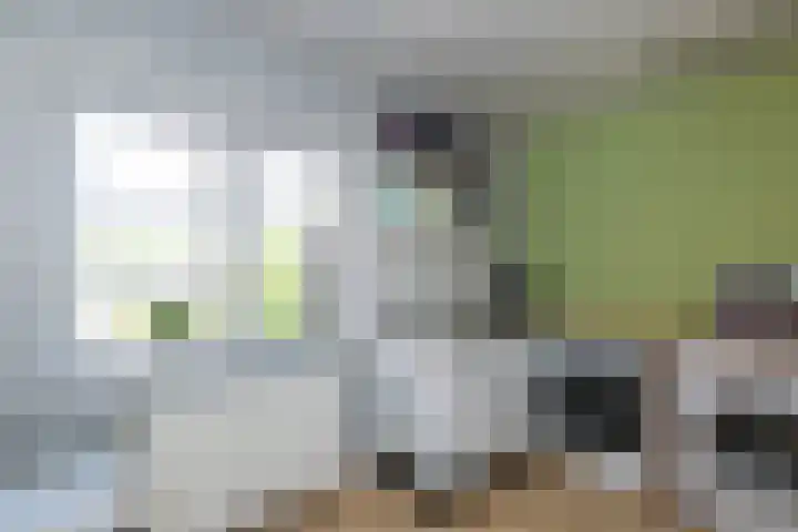 Krommedijk 160 Dordrecht thumbnail 20