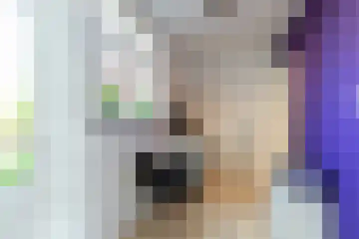 Krommedijk 160 Dordrecht thumbnail 8