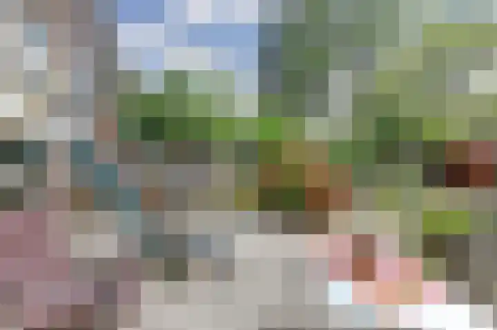 Krommedijk 205 Dordrecht thumbnail 28