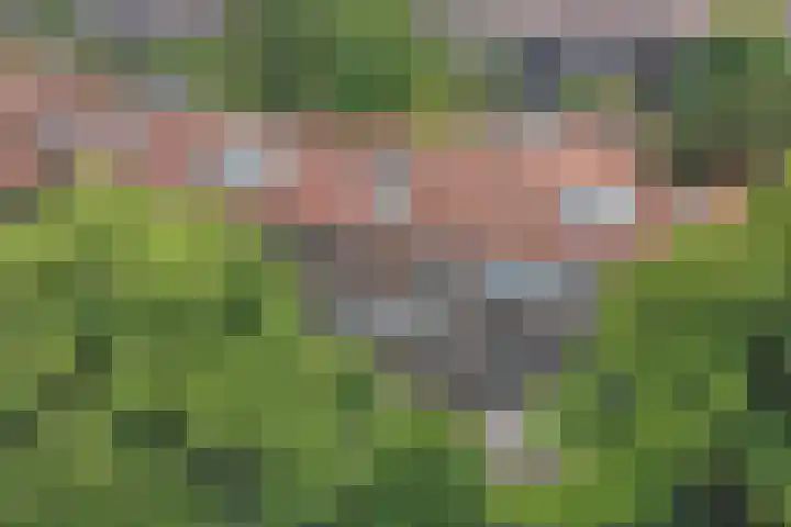 Krommedijk 205 Dordrecht thumbnail 30