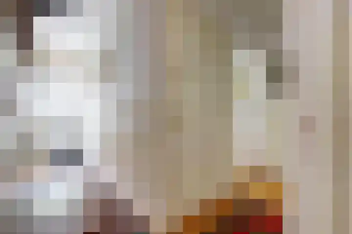 Krommedijk 205 Dordrecht thumbnail 6