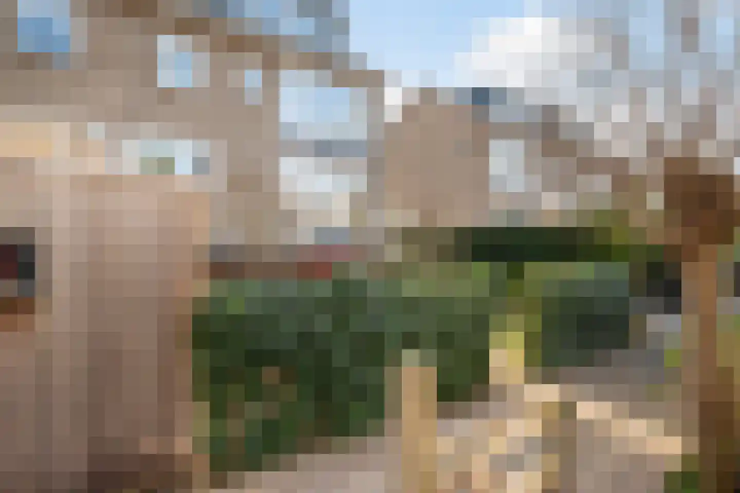 Krommedijk 206 Dordrecht thumbnail 33