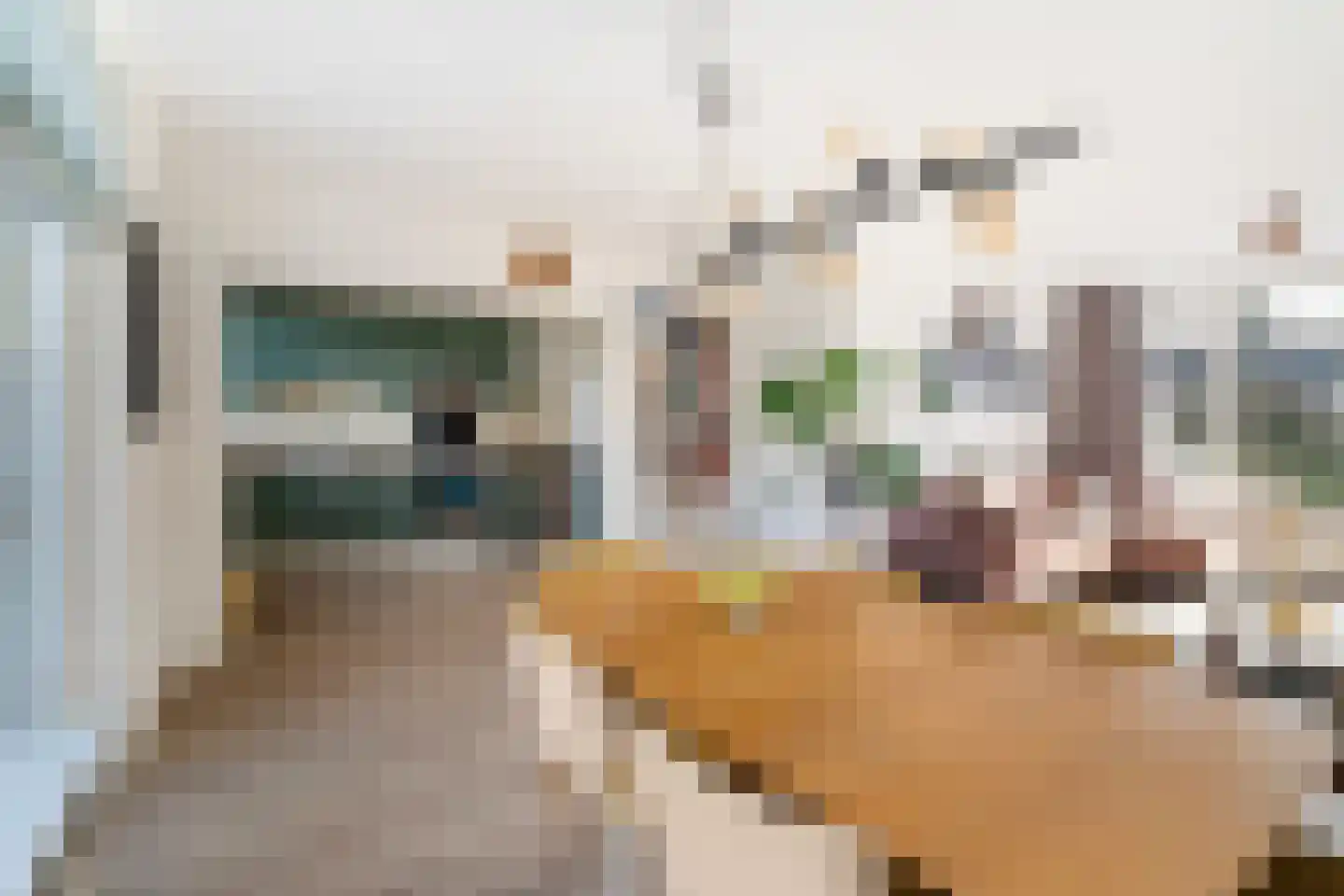 Krommedijk 206 Dordrecht thumbnail 4