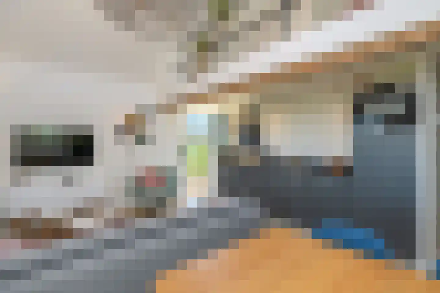 Krommedijk 5 Klarenbeek thumbnail 22