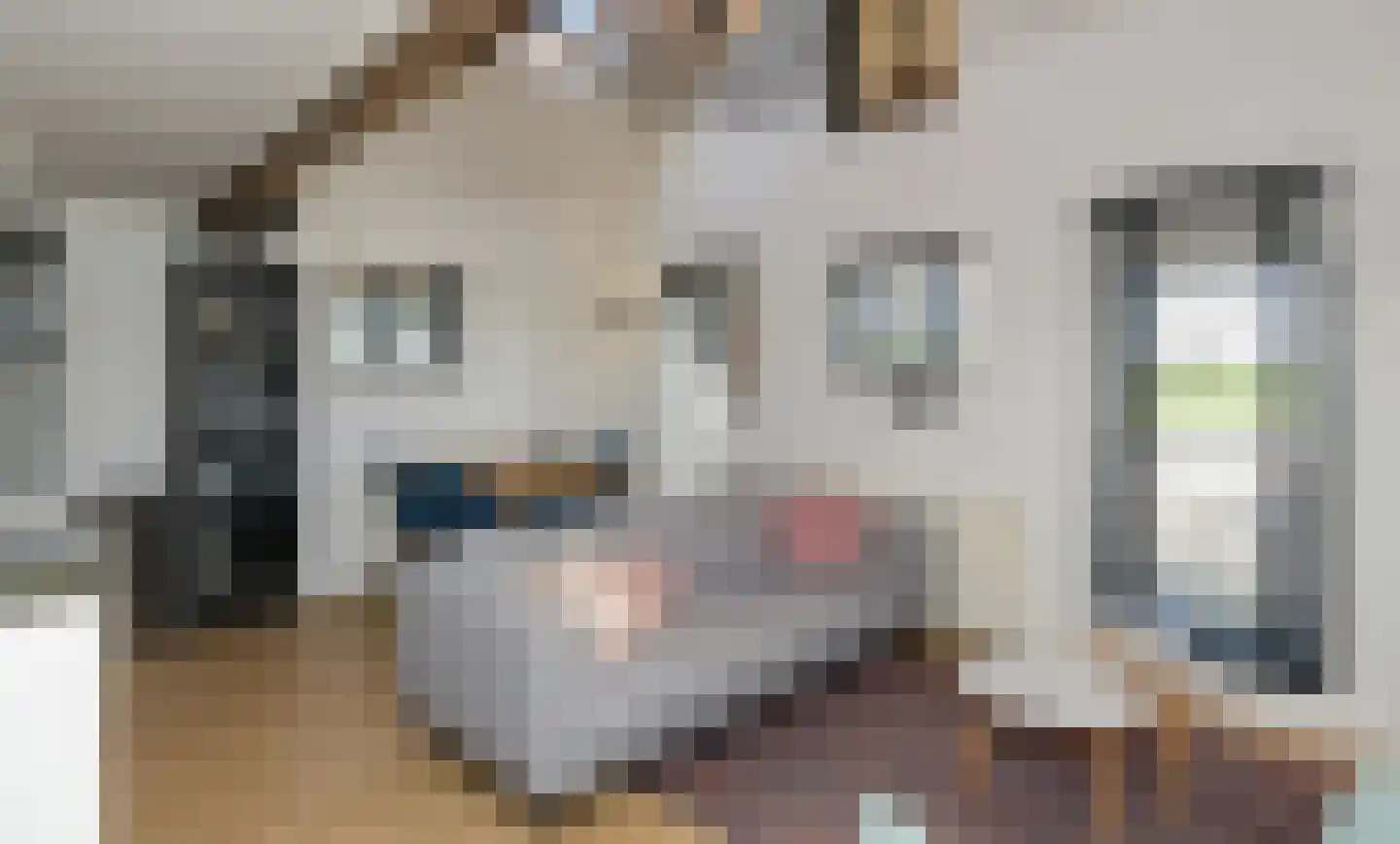 Krommedijk 5 Klarenbeek thumbnail 24