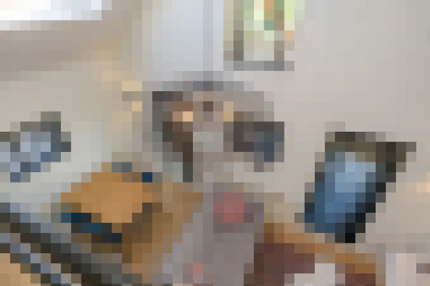 Krommedijk 5 Klarenbeek thumbnail 29